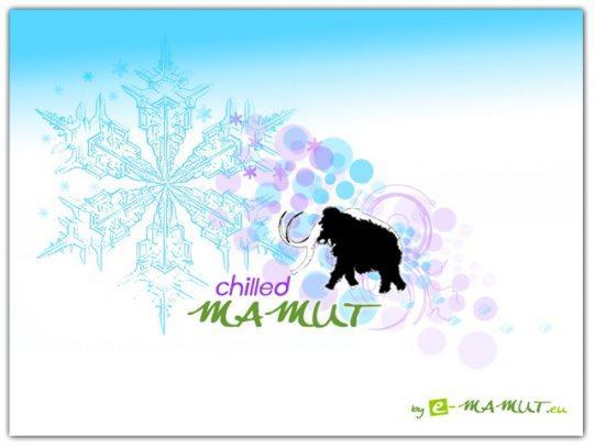 Postcard -  chilled mamut 