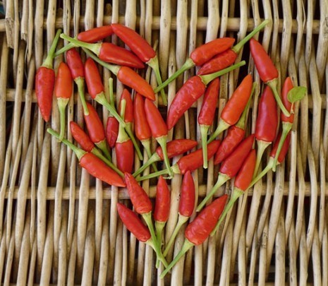 Valentýnské pohlednice, pohlednice z lásky - Pohlednice chilli papricky srdiecko 