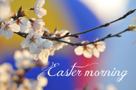 Easter cards - Postcard easter morning 