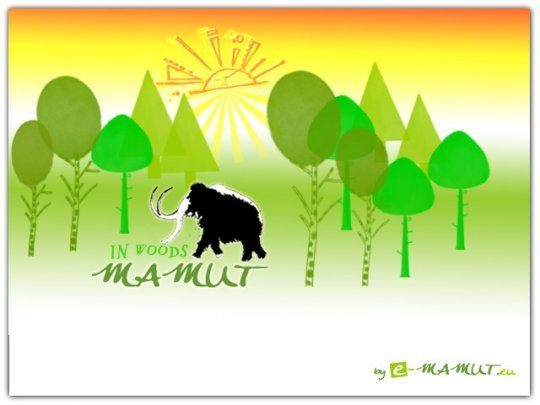 Postcard in woods mamut  - 