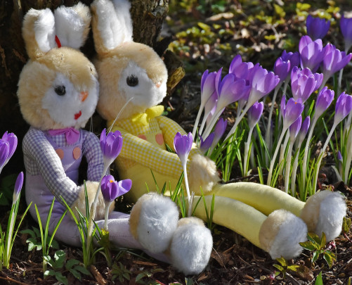 Pohlednice -  jar zajaciky 