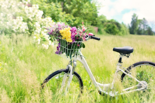  - Postcard jarny bicykel 