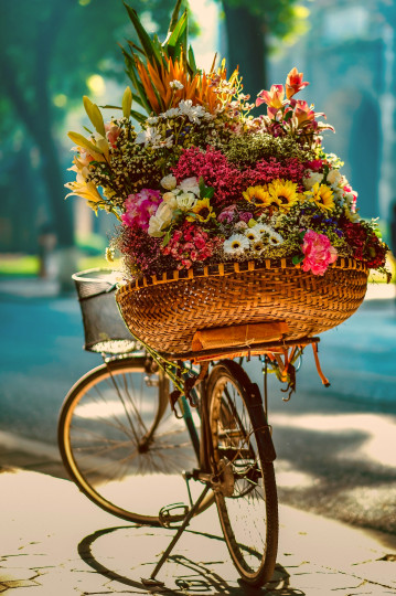 Postcard -  jesen bicy  