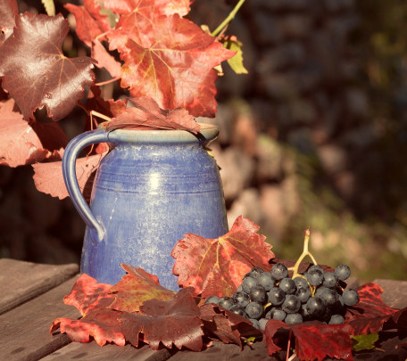 Pohľadnica jesen nostalgia vinohrad  - 