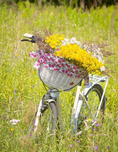  - Pohľadnica letny bicykel 