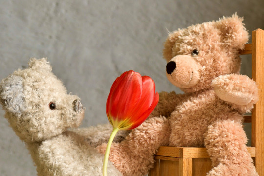 Valentínske pohľadnice, pohľadnice z lásky - Pohľadnica medvedik láska 