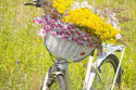 letny_bicykel.jpg
