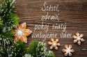 vianocny_vins_cz.jpg