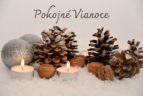 Christmas cards, wishes and greetings - Postcard pokojne Vianoce borovica 