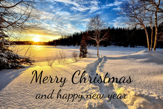 Christmas cards, wishes and greetings - Postcard radostne Vianoce pf en 