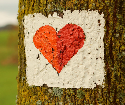 Valentínske pohľadnice, pohľadnice z lásky - Pohľadnica srdce cesta 