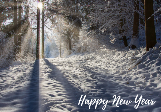 New year's cards, wishes and greetings - Postcard šťastny Nový rok v lese en 