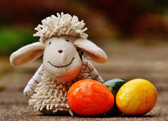 Velikonoční pohlednice - Pohlednice velkonocna ovecka 