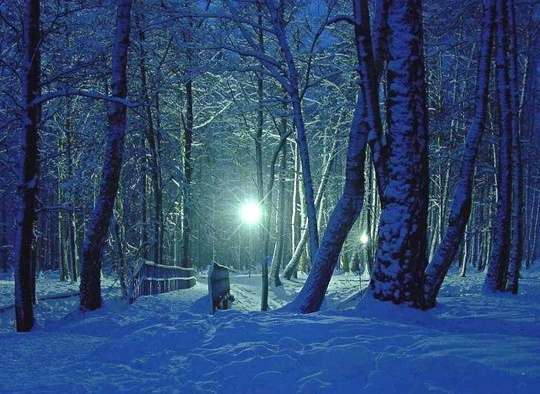 Pohľadnica -  zima rozpravka sneh noc 
