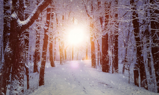 Pohlednice -  zimna cesta slnko 